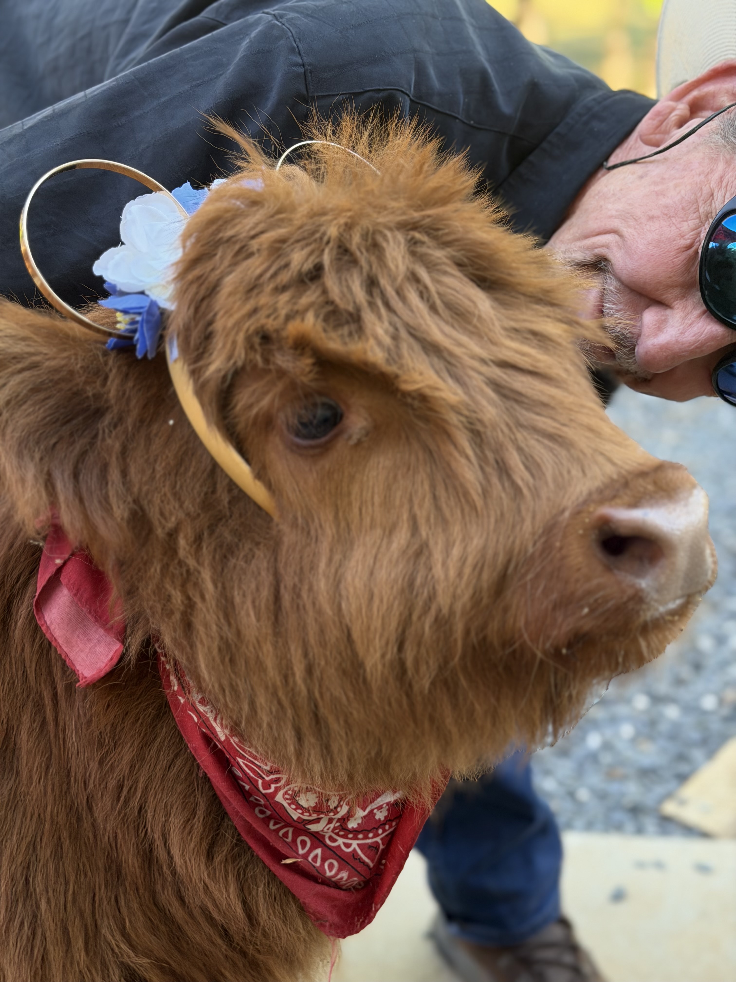 Future petting zoo