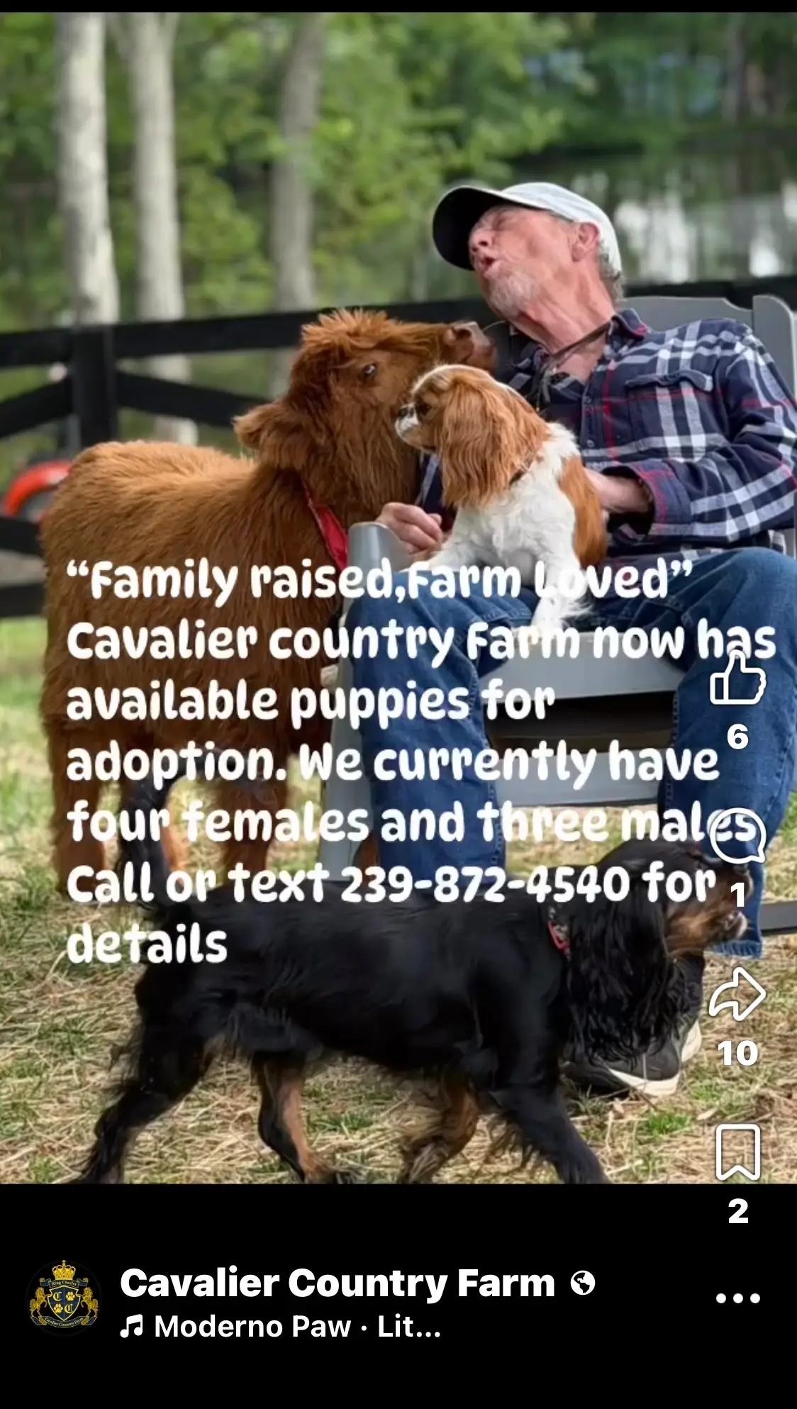 Farm reel preview